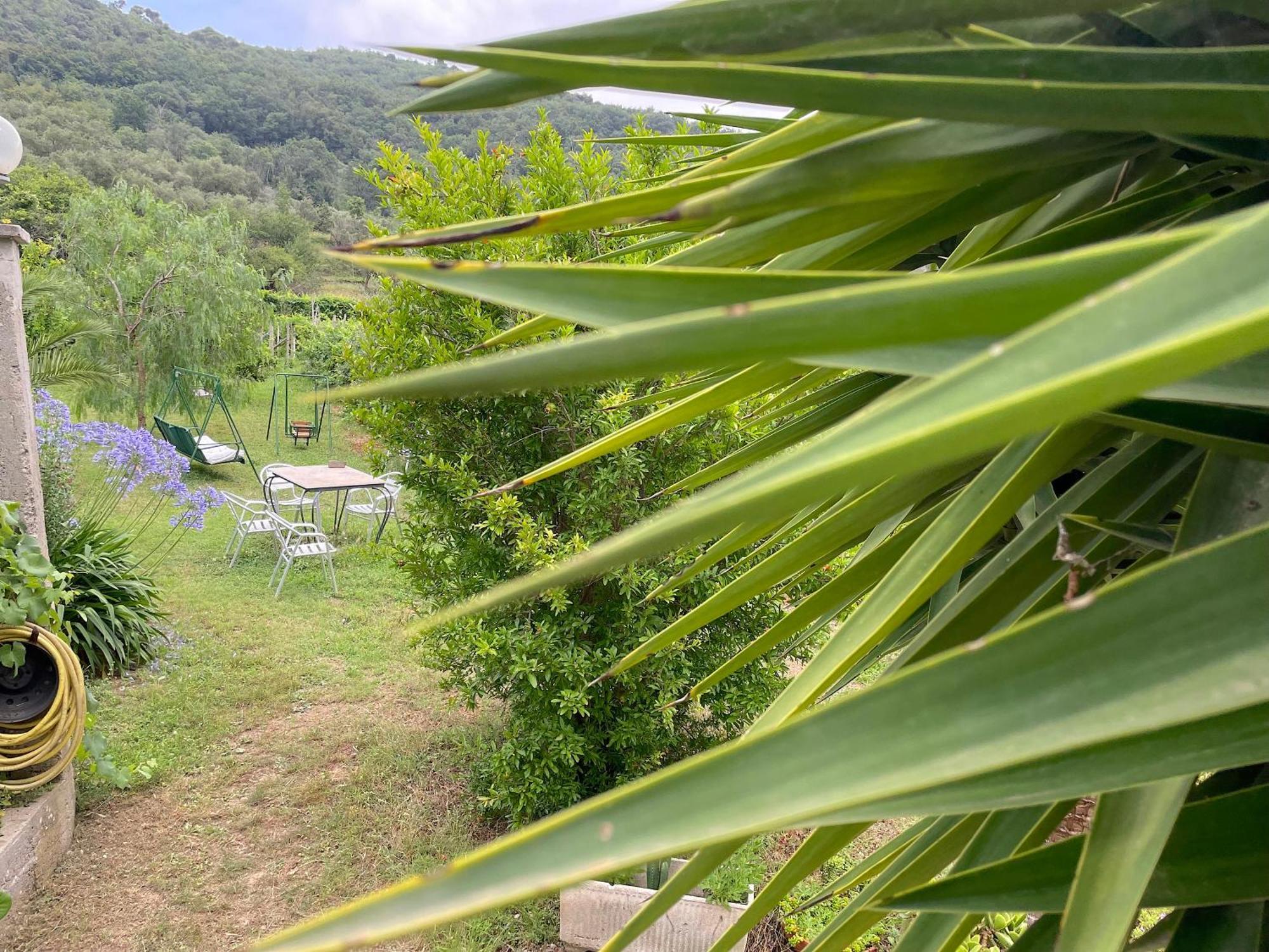 Agriturismo Barilaro Finale Ligure Exterior foto